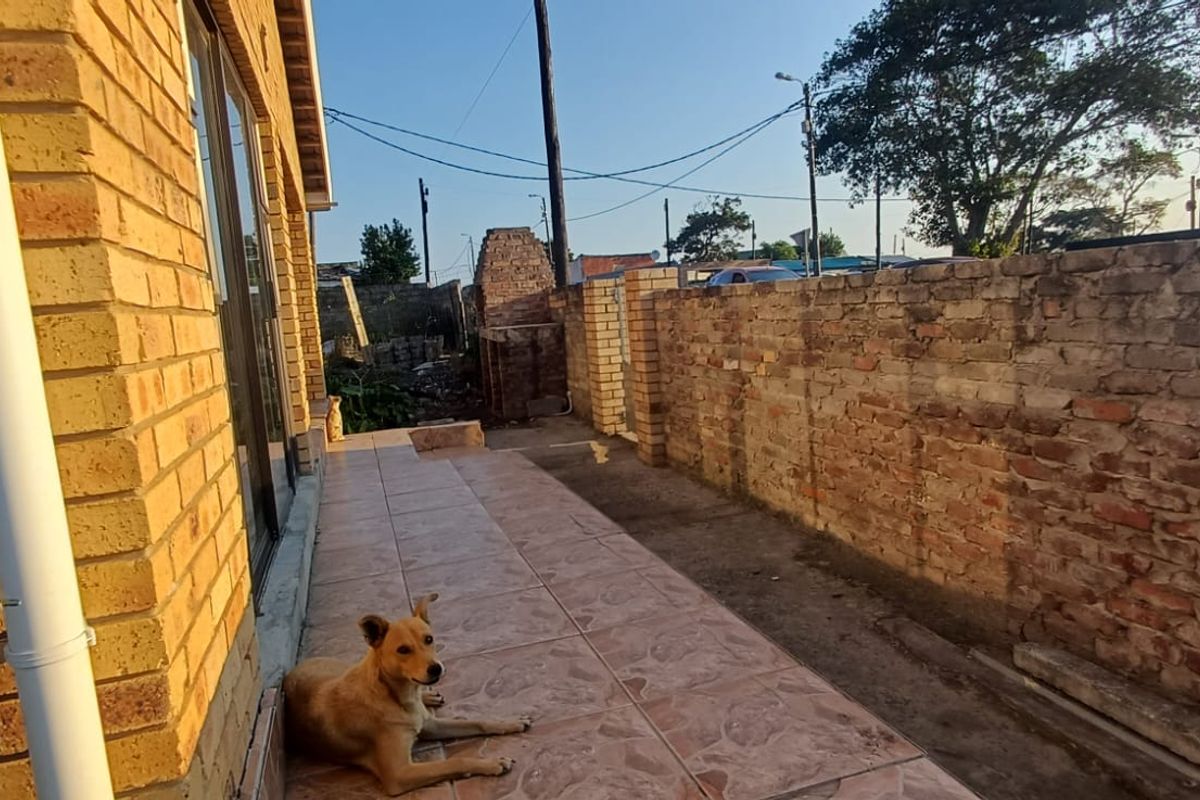 A rear exterior view showing a tiled patio area adjacent to the brick house facade and a perimeter boundary wall.