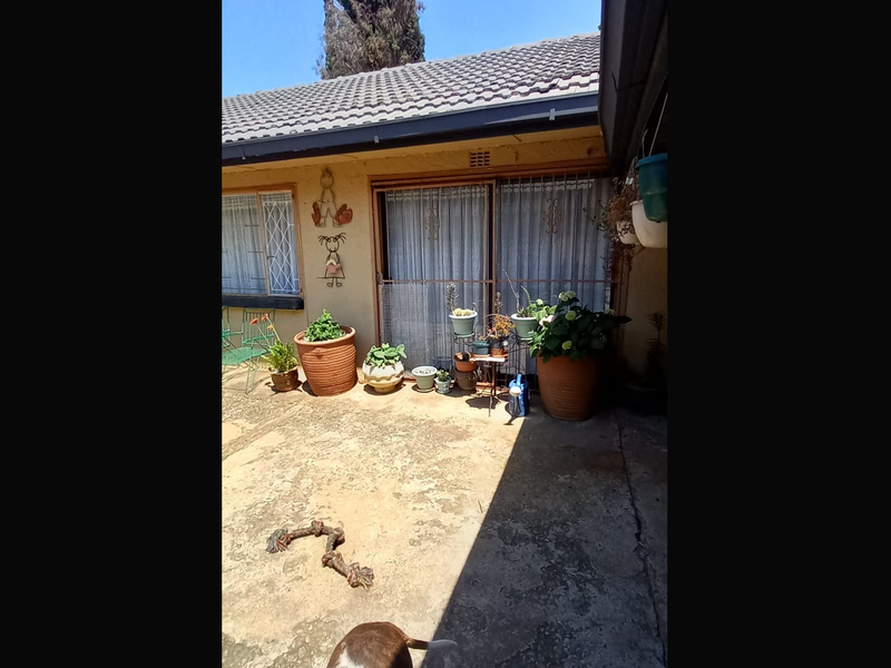 Spacious Pet-Friendly Garden Flat with Solar Power - Photo 2