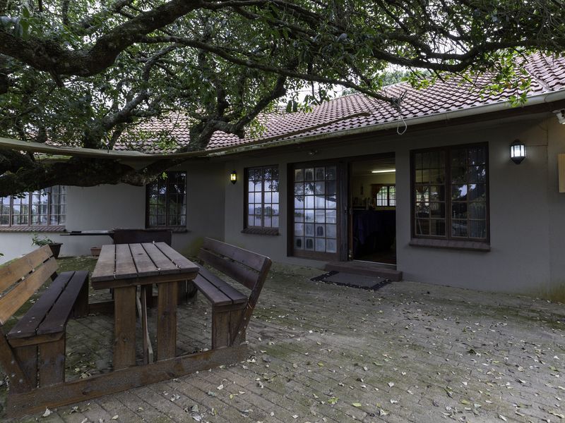 Rear exterior view of the house featuring a paved patio area, mature tree canopy, and direct access to the interior through timber-framed glass doors.