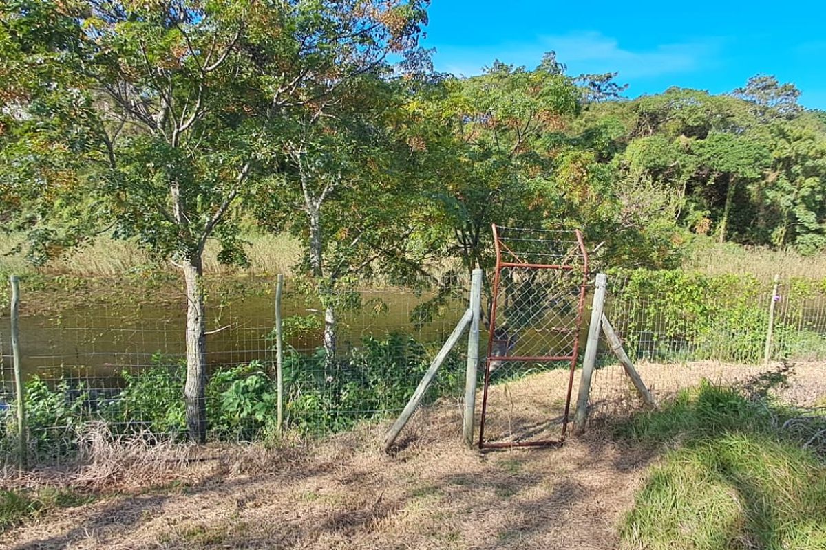 Exceptional 8,840m2 Riverside Smallholding in a secure Eco Estate - Photo 5