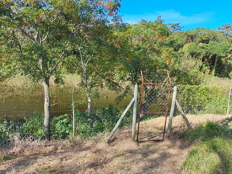 Exceptional 8,840m2 Riverside Smallholding in a secure Eco Estate - Photo 5