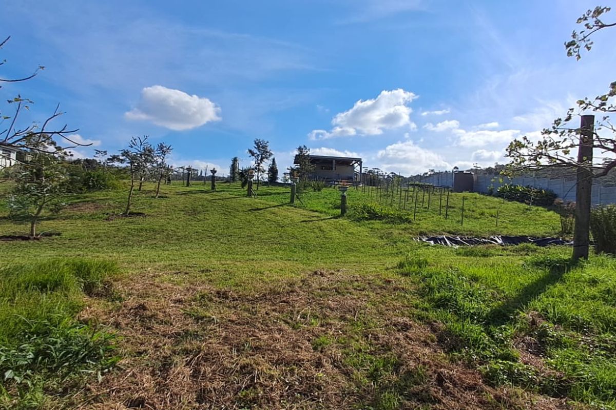 Exceptional 8,840m2 Riverside Smallholding in a secure Eco Estate - Photo 3