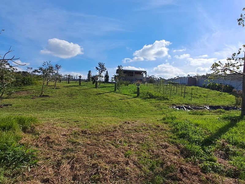 Exceptional 8,840m2 Riverside Smallholding in a secure Eco Estate - Photo 3