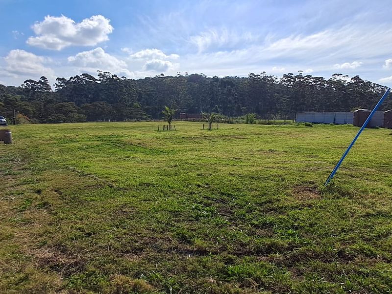 Exceptional 8,840m2 Riverside Smallholding in a secure Eco Estate - Photo 9