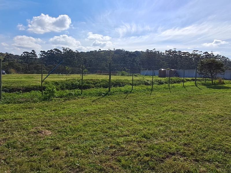 Exceptional 8,840m2 Riverside Smallholding in a secure Eco Estate - Photo 10