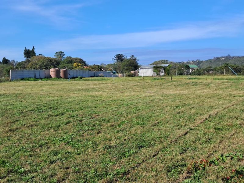 Exceptional 8,840m2 Riverside Smallholding in a secure Eco Estate - Photo 1