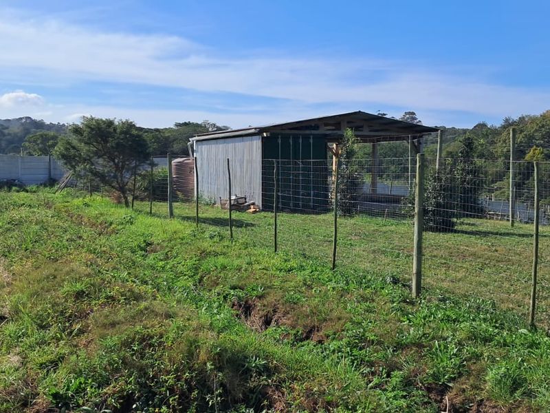 Exceptional 8,840m2 Riverside Smallholding in a secure Eco Estate - Photo 8