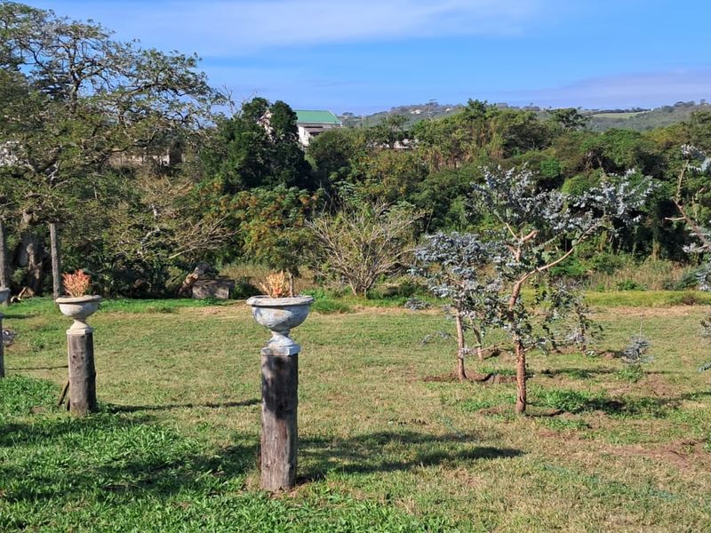 Exceptional 8,840m2 Riverside Smallholding in a secure Eco Estate - Photo 6