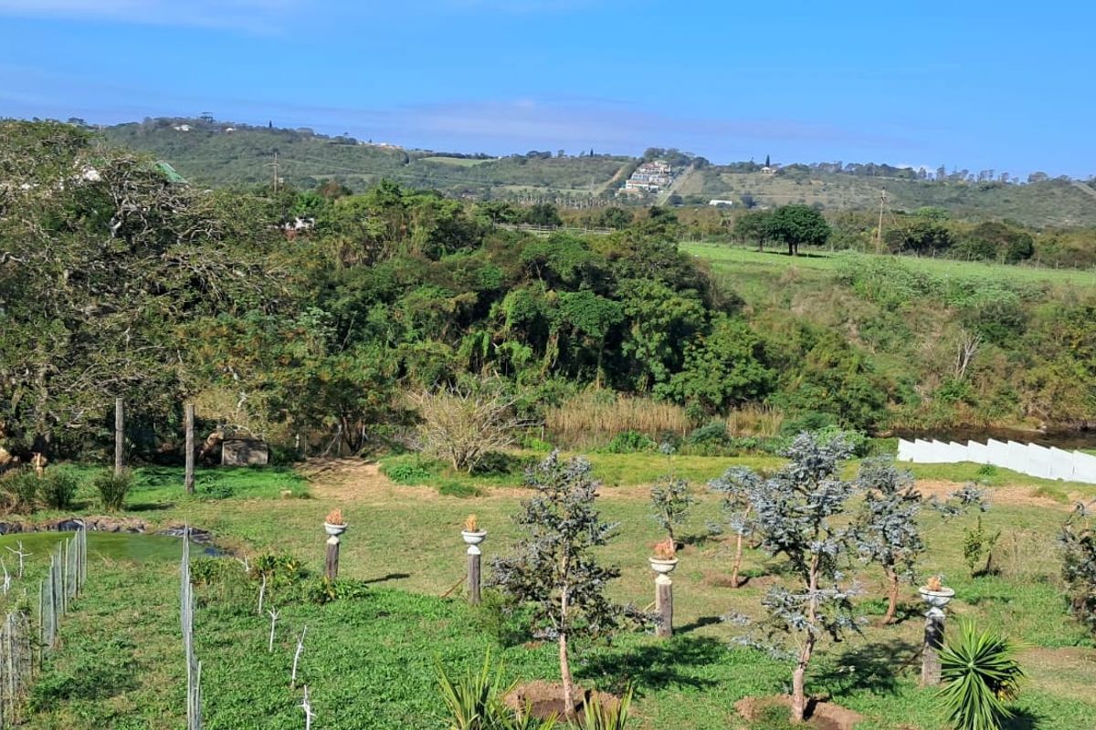 Exceptional 8,840m2 Riverside Smallholding in a secure Eco Estate - Photo 2