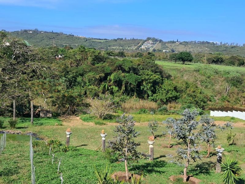 Exceptional 8,840m2 Riverside Smallholding in a secure Eco Estate - Photo 2