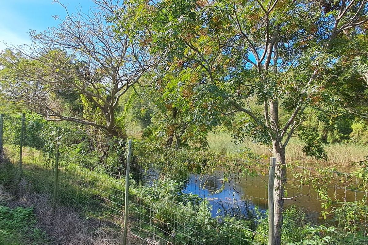 Exceptional 8,840m2 Riverside Smallholding in a secure Eco Estate - Photo 4