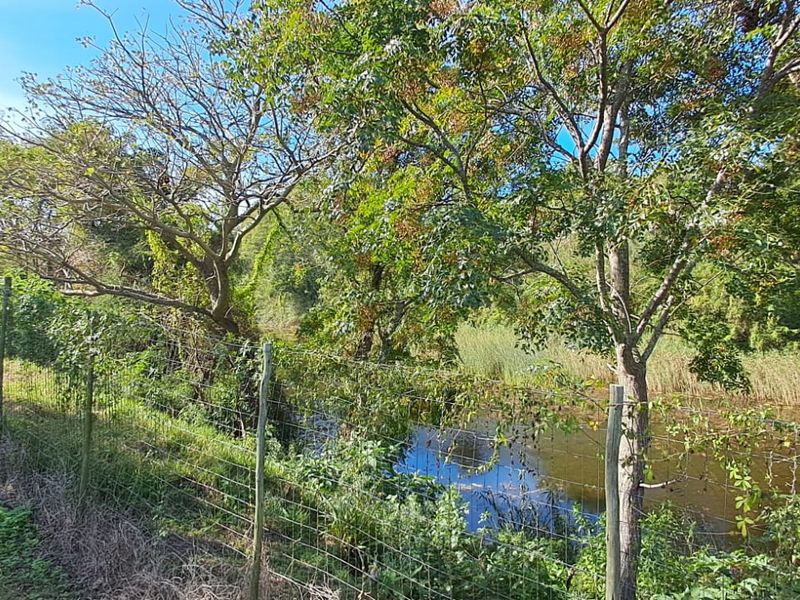 Exceptional 8,840m2 Riverside Smallholding in a secure Eco Estate - Photo 4