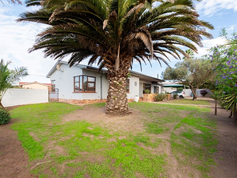 A view of the rear exterior of the house featuring a large palm tree, established garden, and perimeter walling.