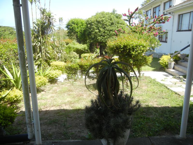 Guest House Potential - Photo 7