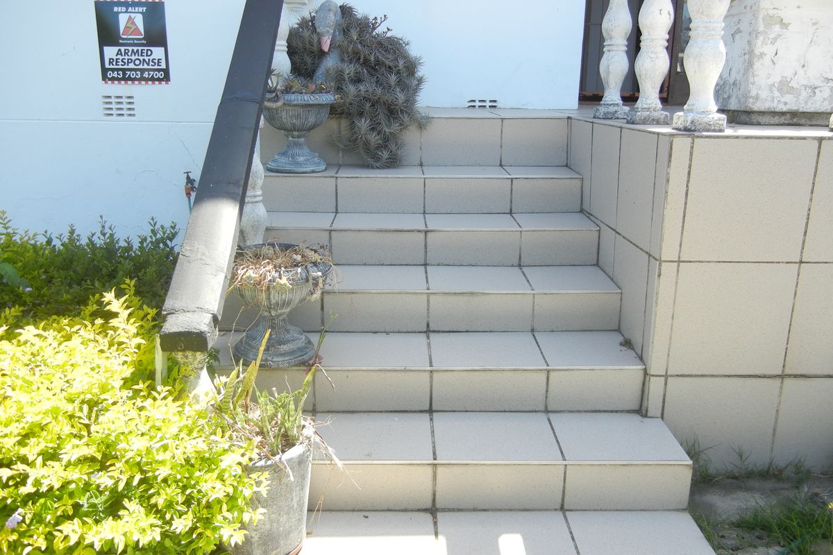 Guest House Potential - Photo 5