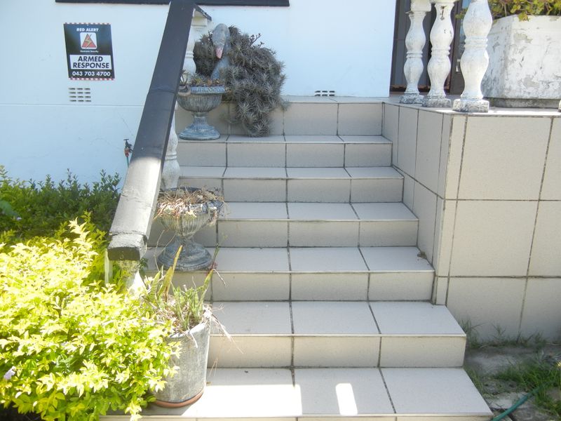 Guest House Potential - Photo 5