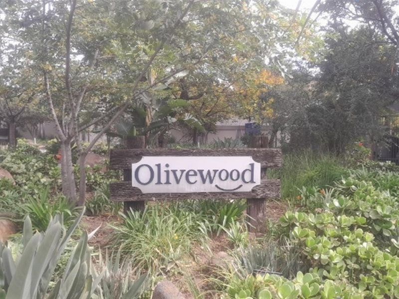 Modern 3-Bedroom Family Home for Sale in Olivewood Estate - Photo 1