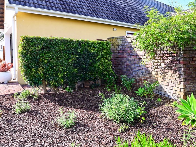 A Garden Route Gem of Rare Distinction - Photo 8