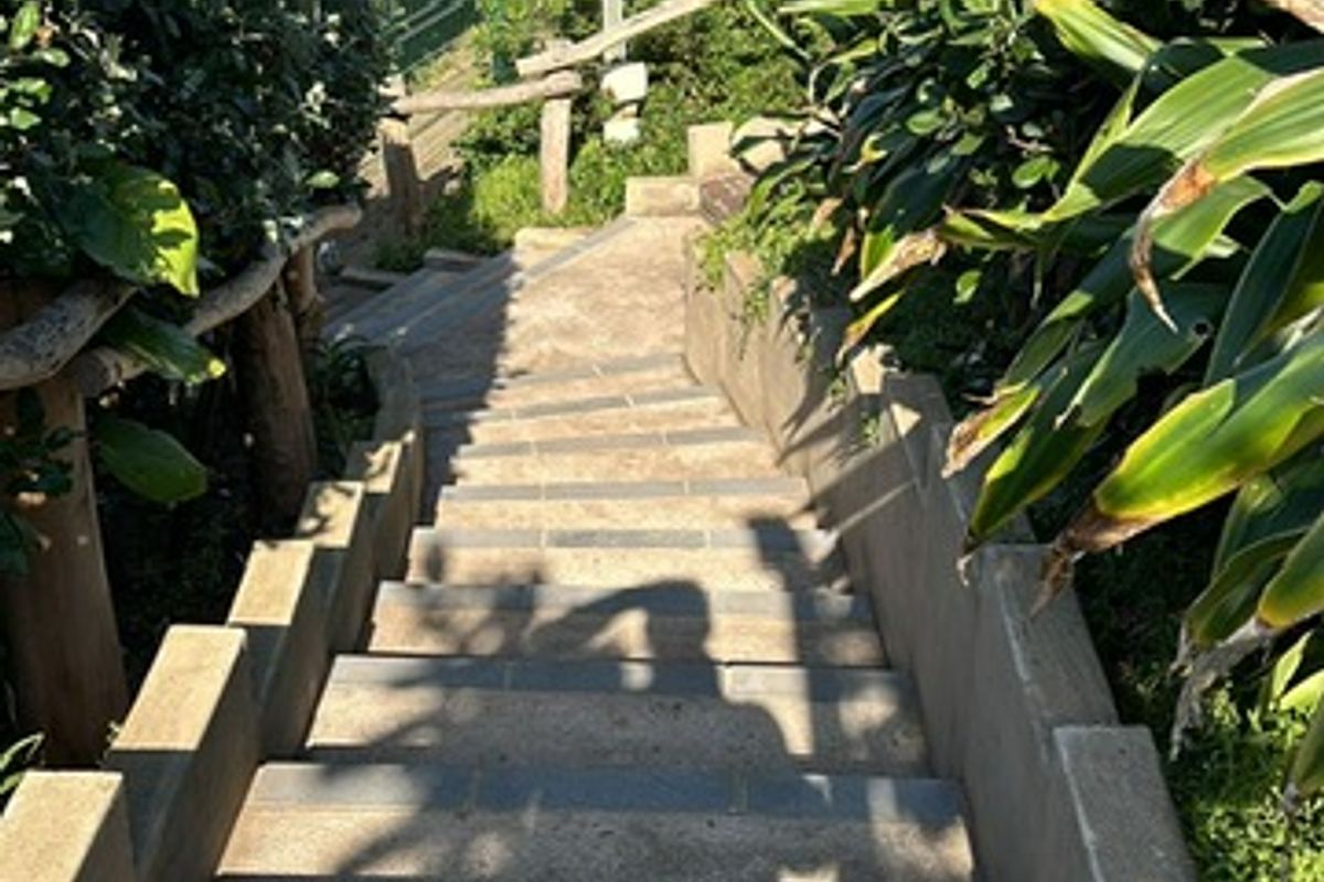 A concrete staircase leading down through a landscaped garden area, featuring retaining walls and ocean views in the background.