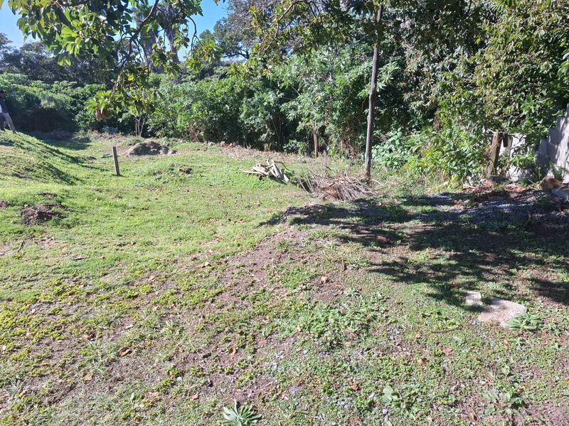 A view of a sloped, grass-covered residential plot featuring mature trees and natural vegetation, suitable for future development.