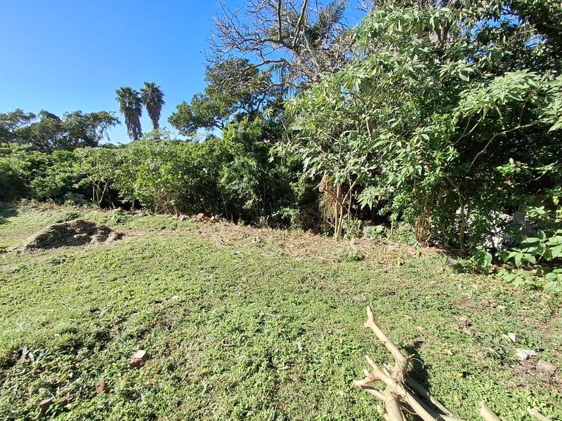 A view of the residential vacant land featuring established trees and natural lawn area.