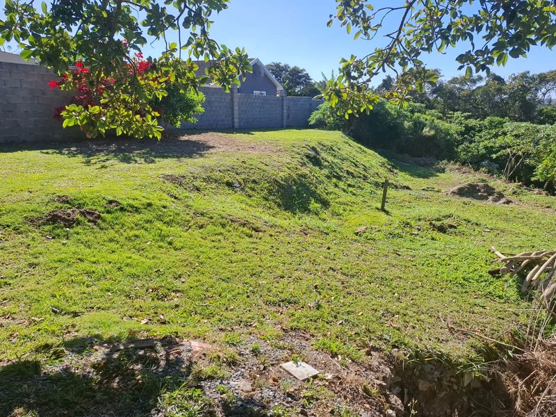A sloped residential plot featuring established trees and a concrete block boundary wall, offering potential for landscaping or future development.