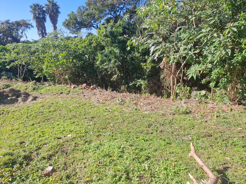 A view of the residential land featuring established trees and dense vegetation, requiring clearing and landscaping to prepare for development.