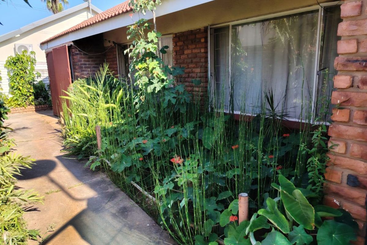 Rear exterior view of the apartment featuring a brick facade, tiled roof, and a concrete pathway bordered by dense, overgrown garden vegetation.