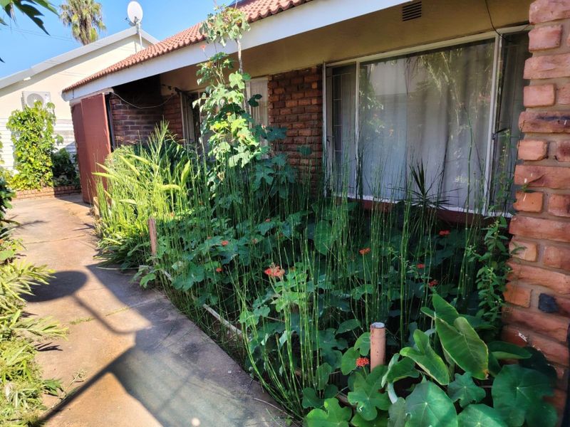 Apartment / Flat for Sale in Bela - Investment Opportunity. - Photo 8