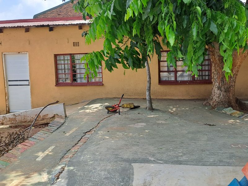 Rear exterior view of the property featuring a concrete patio area, brick walls, and security-fitted windows under a mature tree.