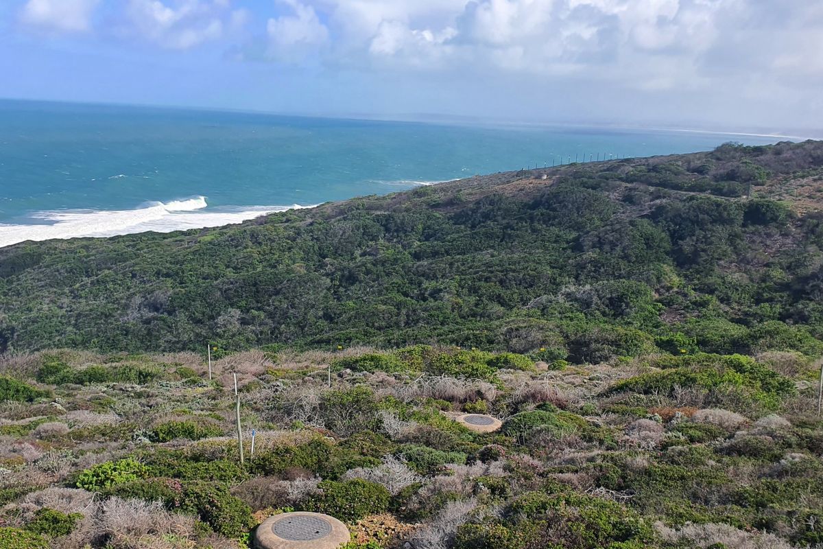 An Unrepeatable Front-Row Ocean Position - Photo 2