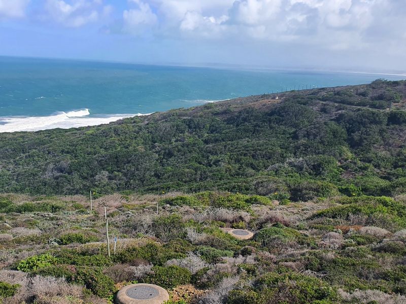 An Unrepeatable Front-Row Ocean Position - Photo 2