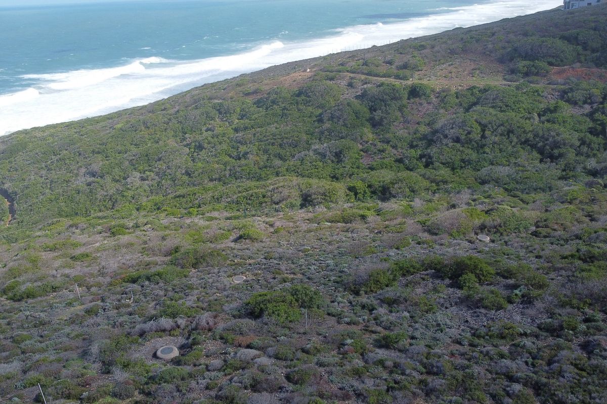 An aerial view of a vacant residential plot featuring natural coastal vegetation and direct proximity to the ocean.