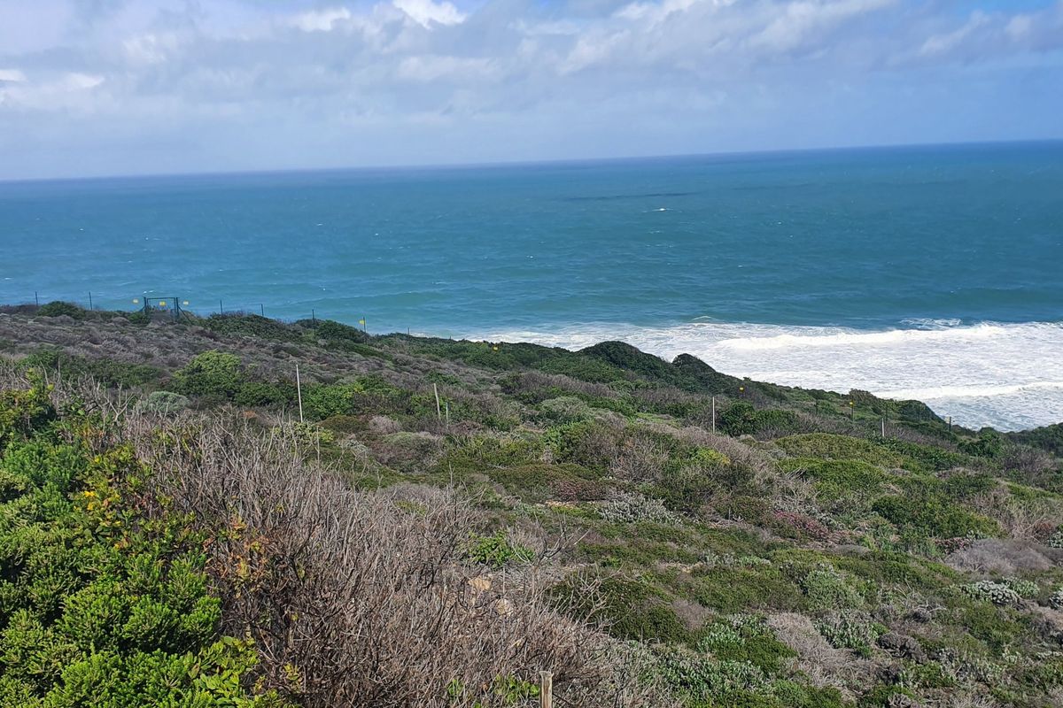 An Unrepeatable Front-Row Ocean Position - Photo 3