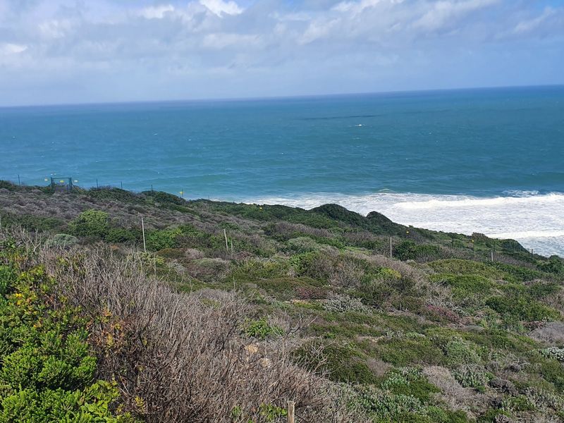 An Unrepeatable Front-Row Ocean Position - Photo 3