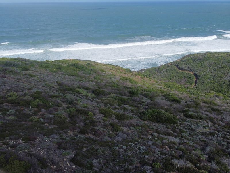An Unrepeatable Front-Row Ocean Position - Photo 10