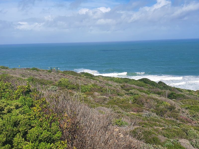 An Unrepeatable Front-Row Ocean Position - Photo 7