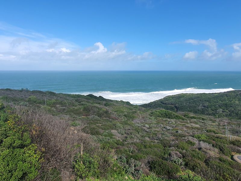An Unrepeatable Front-Row Ocean Position - Photo 4