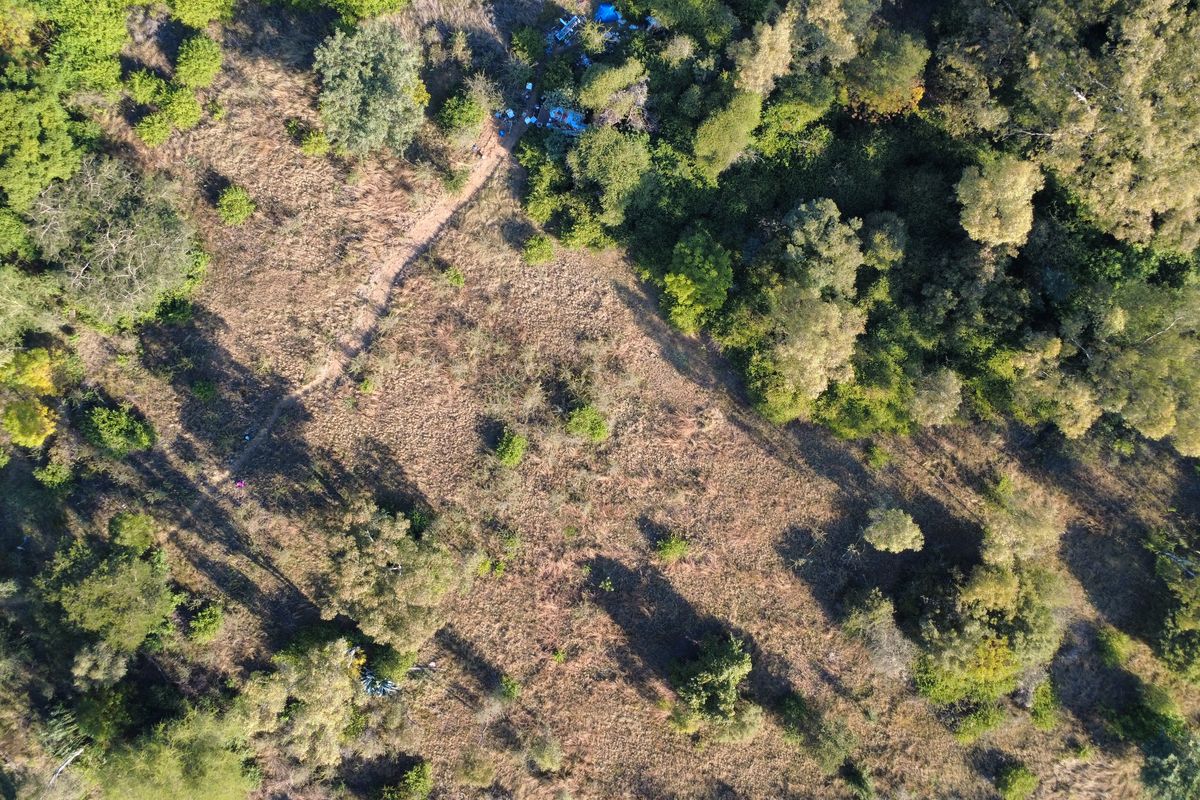 Prime spot in Therespark - Photo 2