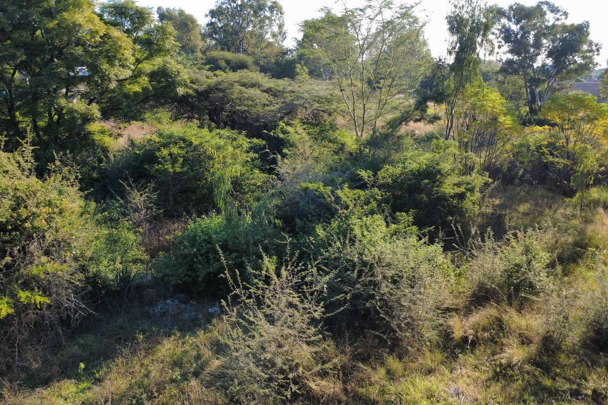 Prime spot in Therespark - Photo 3
