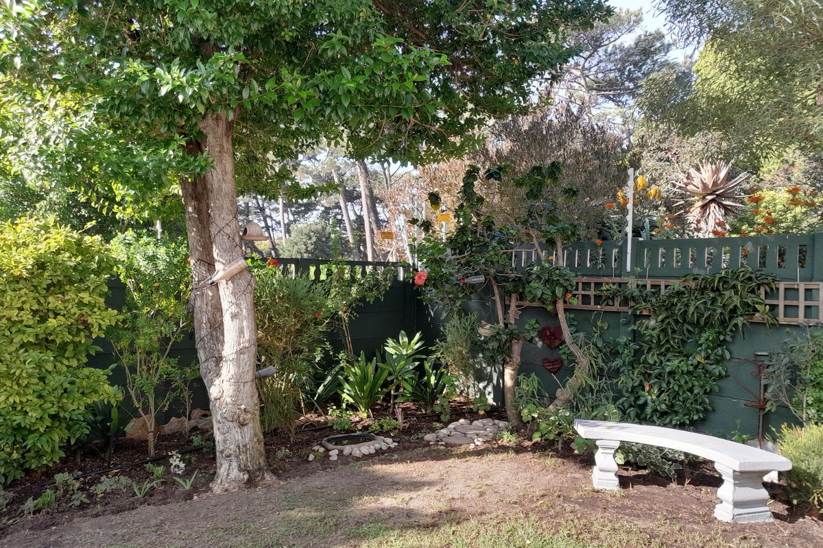 Pinelands Garden Cottage One Bedroom furnished - Photo 2