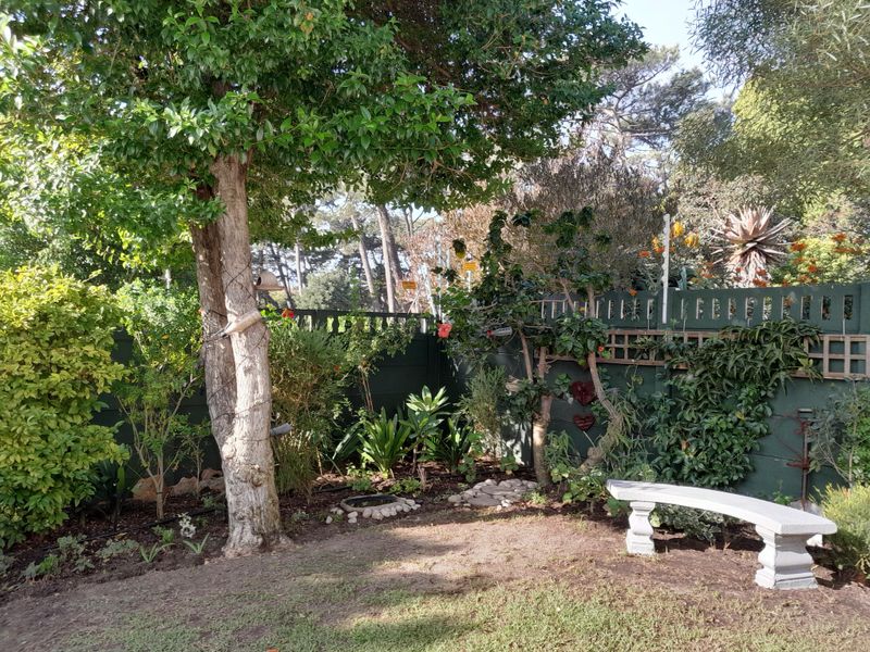 Pinelands Garden Cottage One Bedroom furnished - Photo 2