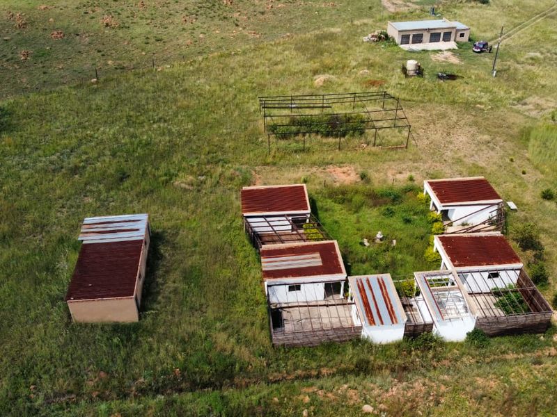 Prime Farm Land Opportunity in Honingsnestkrans - Photo 4
