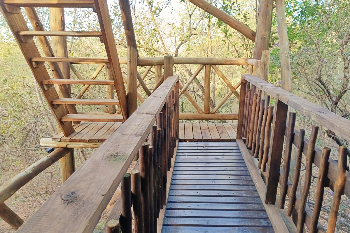 Beautiful Home in the bush! - Photo 4