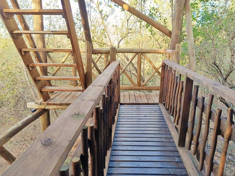 Beautiful Home in the bush! - Photo 4