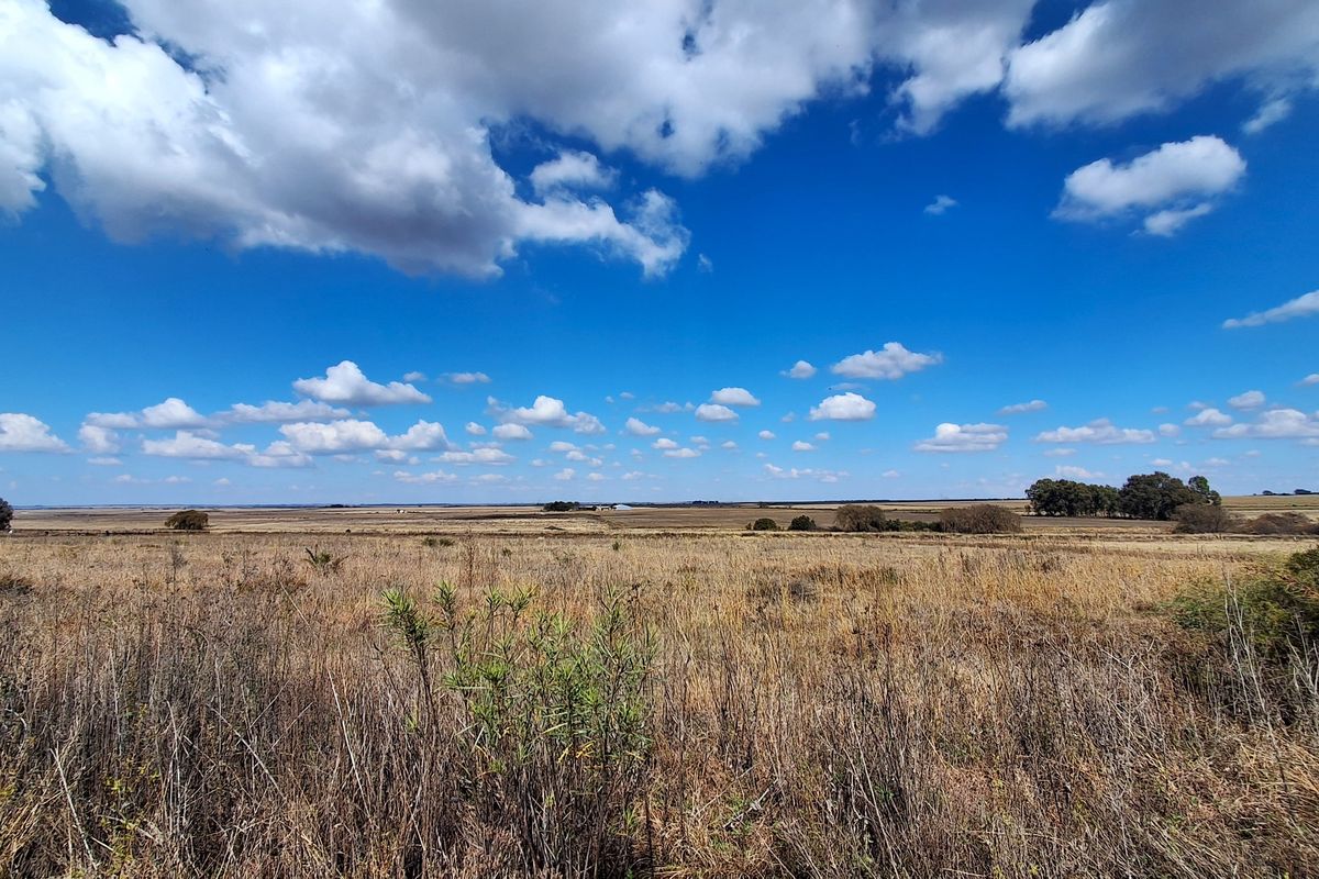 A wide-angle view of expansive, undeveloped residential land featuring natural dry grassland and distant tree lines under a clear blue sky.