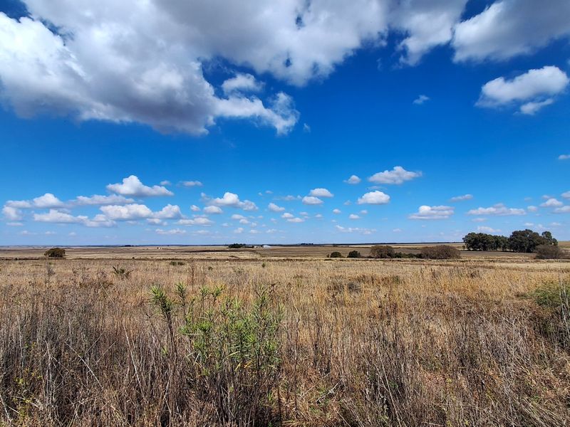 A wide-angle view of expansive, undeveloped residential land featuring natural dry grassland and distant tree lines under a clear blue sky.