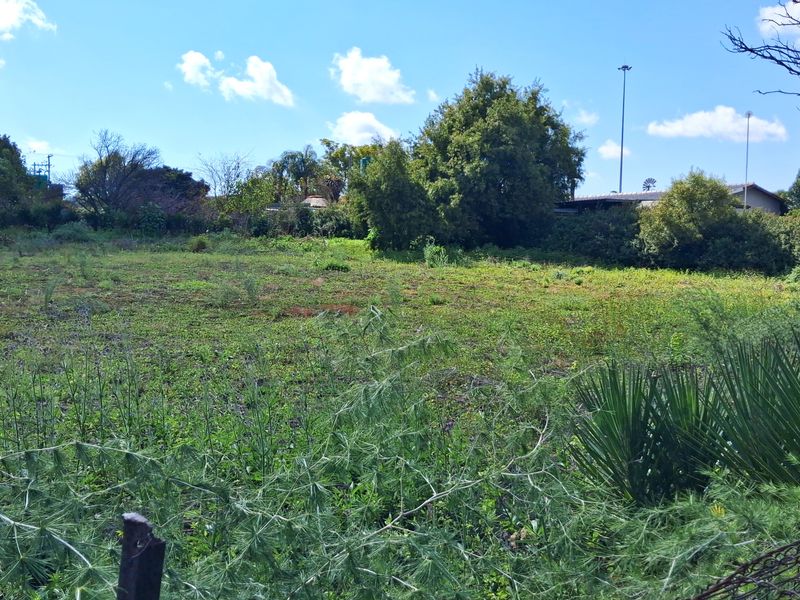A view of a vacant residential plot featuring natural vegetation, mature trees, and perimeter wire fencing.