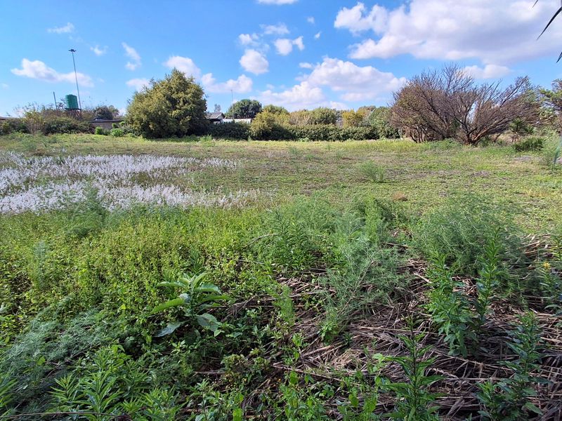 A view of a vacant residential plot featuring natural vegetation and mature trees, offering a blank canvas for future development.
