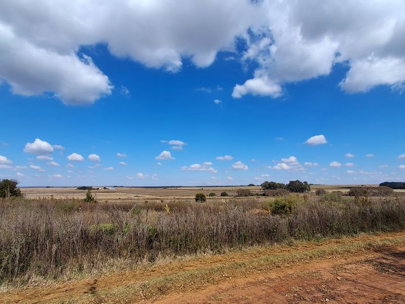 A wide-angle view of expansive, undeveloped residential land featuring natural vegetation and open horizon under a clear blue sky.